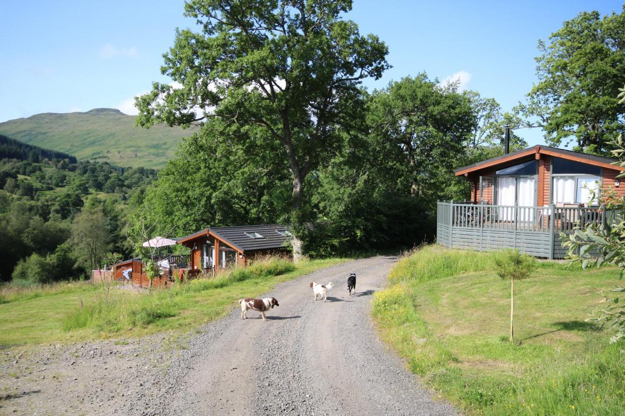 Balquhidder Braes Holiday Park Lodges, Mostly With Hot Tubs And Pet Friendly, Ev Facilities Lochearnhead Exterior foto